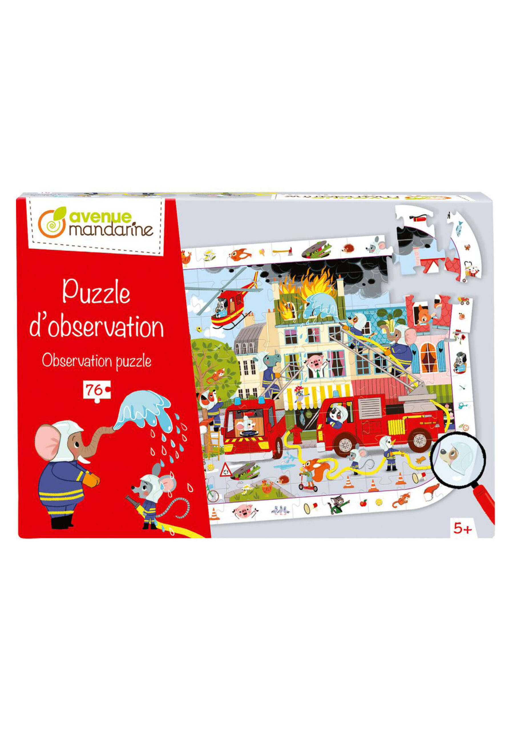 Puzzles d'observation